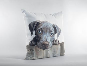 P-8768-blue lacy